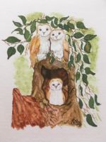 Kaartenset Lente 1.3