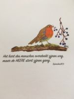 Kaartenset Spreuken 1.5