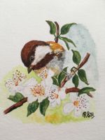 Kaartenset Voorjaar 3.2